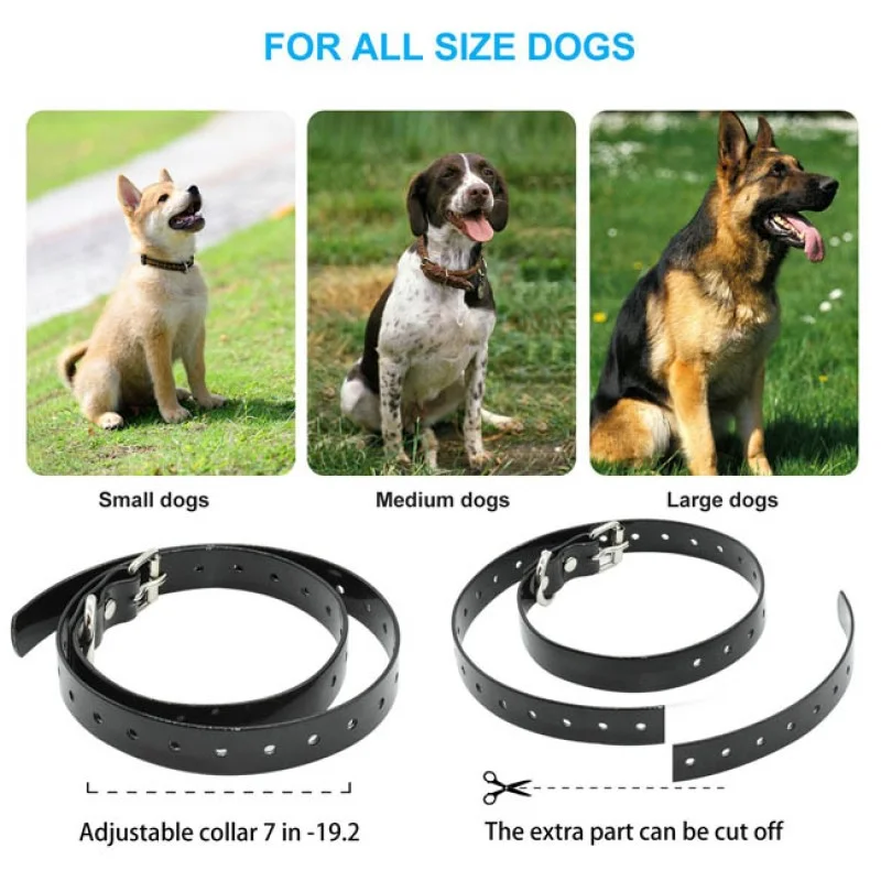 Dog Training Collars Remote Rechargeable and Waterproof Electric Dog Collars for 2 Dogs Dog Training Collars Remote Rechargeable and Waterproof Electric Dog Collars for 2 Dogs